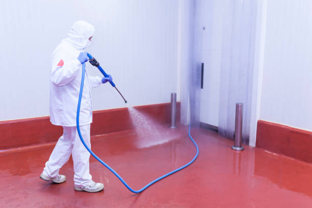 Best Window and Screen Pressure Cleaning in Hewlett Harbor, NY
