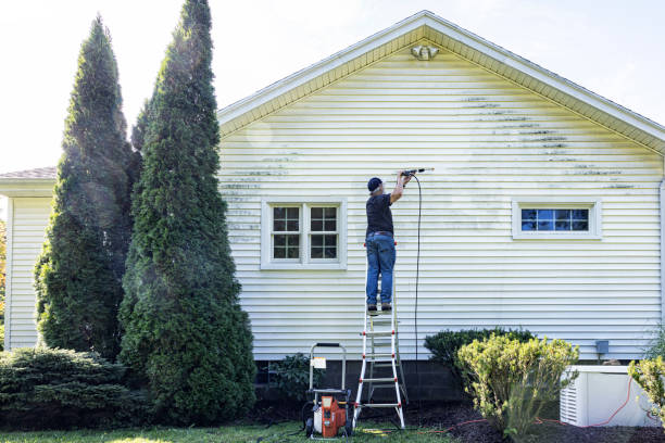 Best Fence Cleaning and Maintenance in Hewlett Harbor, NY