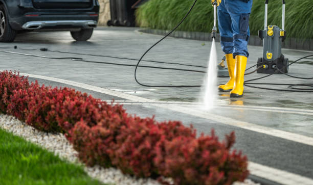 Best Driveway Cleaning and Restoration in Hewlett Harbor, NY